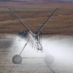 Peran Teknologi Informasi dalam Pemerintahan Desa Cengkareng Barat