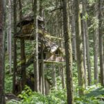 Pemberdayaan Masyarakat Melalui Digitalisasi di Cengkareng Barat